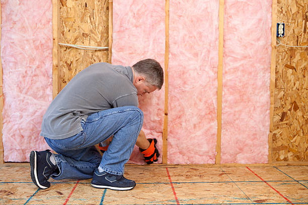 Best Attic Insulation Installation  in Mount Vernon, WA